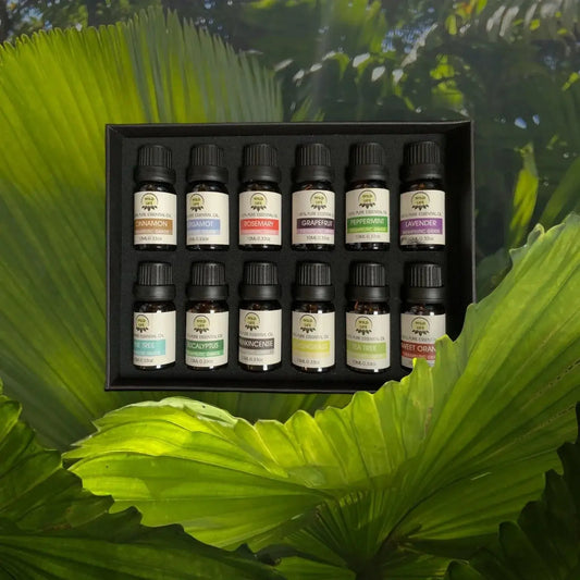 Collection of essential oils for immune support in a box, featuring various scents for health and wellness.