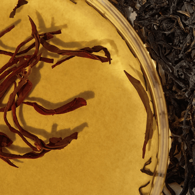 Close-up of KAINE kombu balancing ampoule toner ingredients, featuring dried herbs and a golden hue.