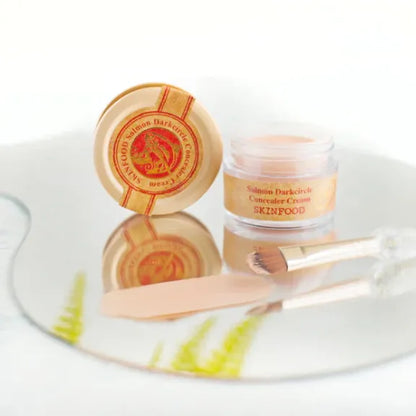 SKINFOOD Salmon Dark Circle Concealer Cream 01 Blooming 10g